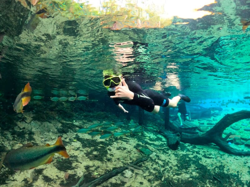 Rio da Prata - Jardim MS