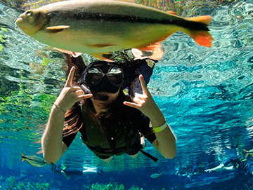 Img Aquario Natural Bonito MS