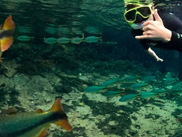 Img Flutuacao no Rio da Prata