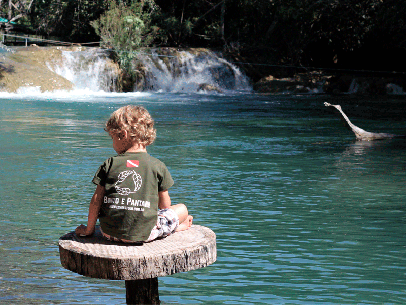 bosque das aguas crianca
